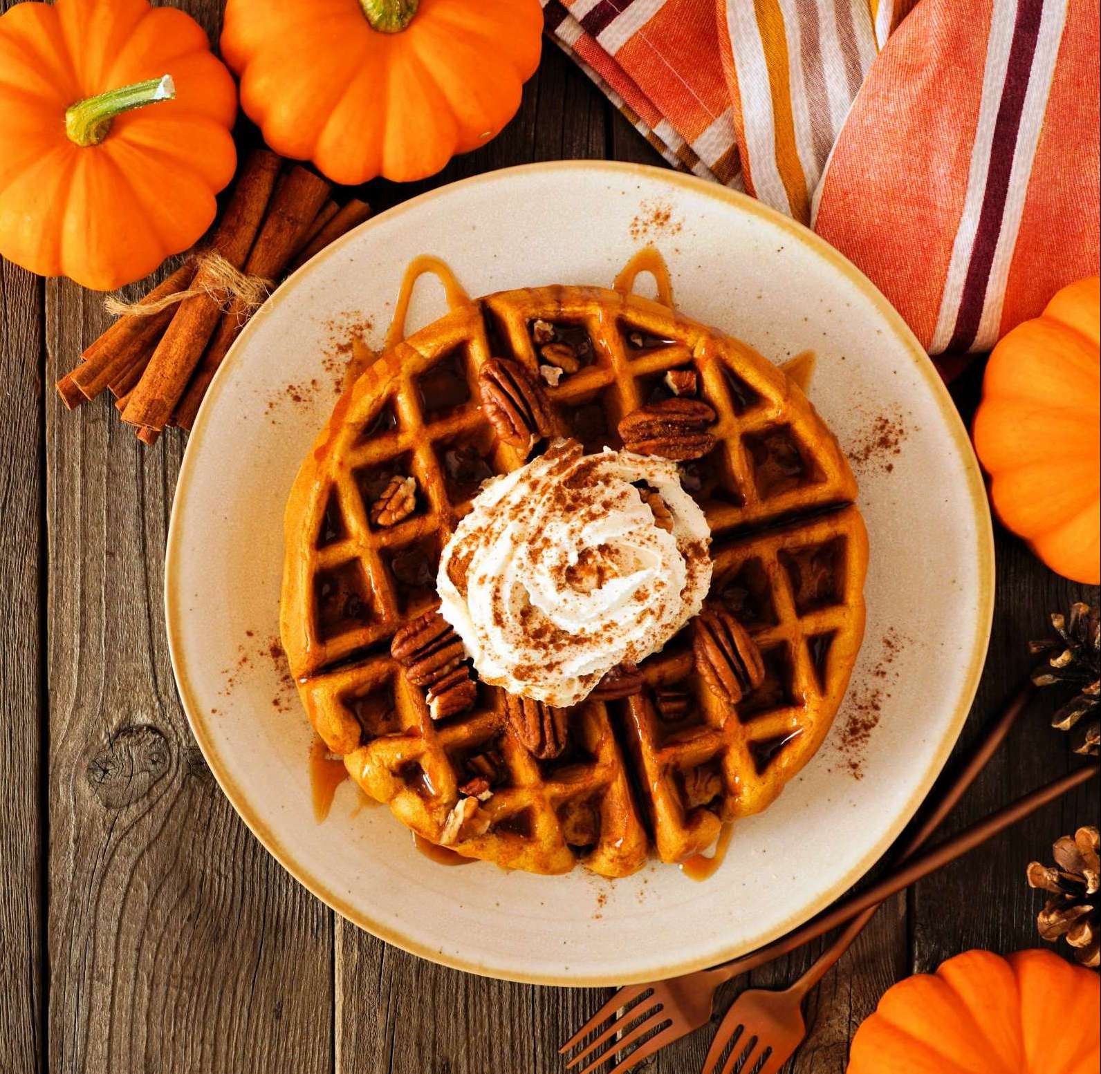 Fragrance: Pumpkin Pecan Waffle Type