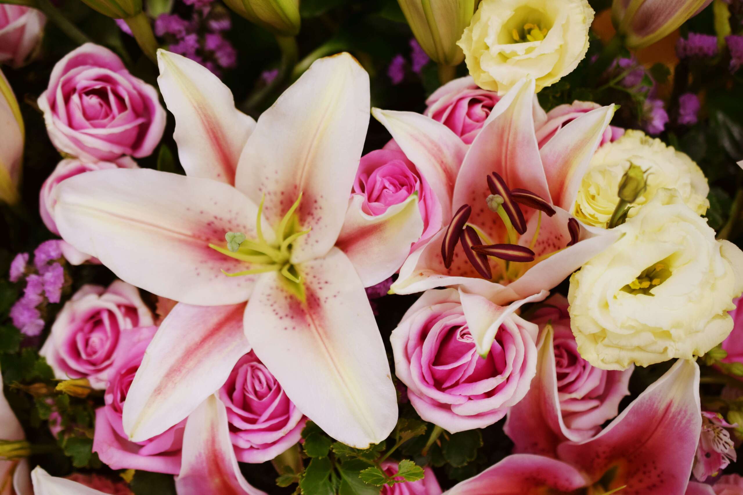 Fragrance: French Market