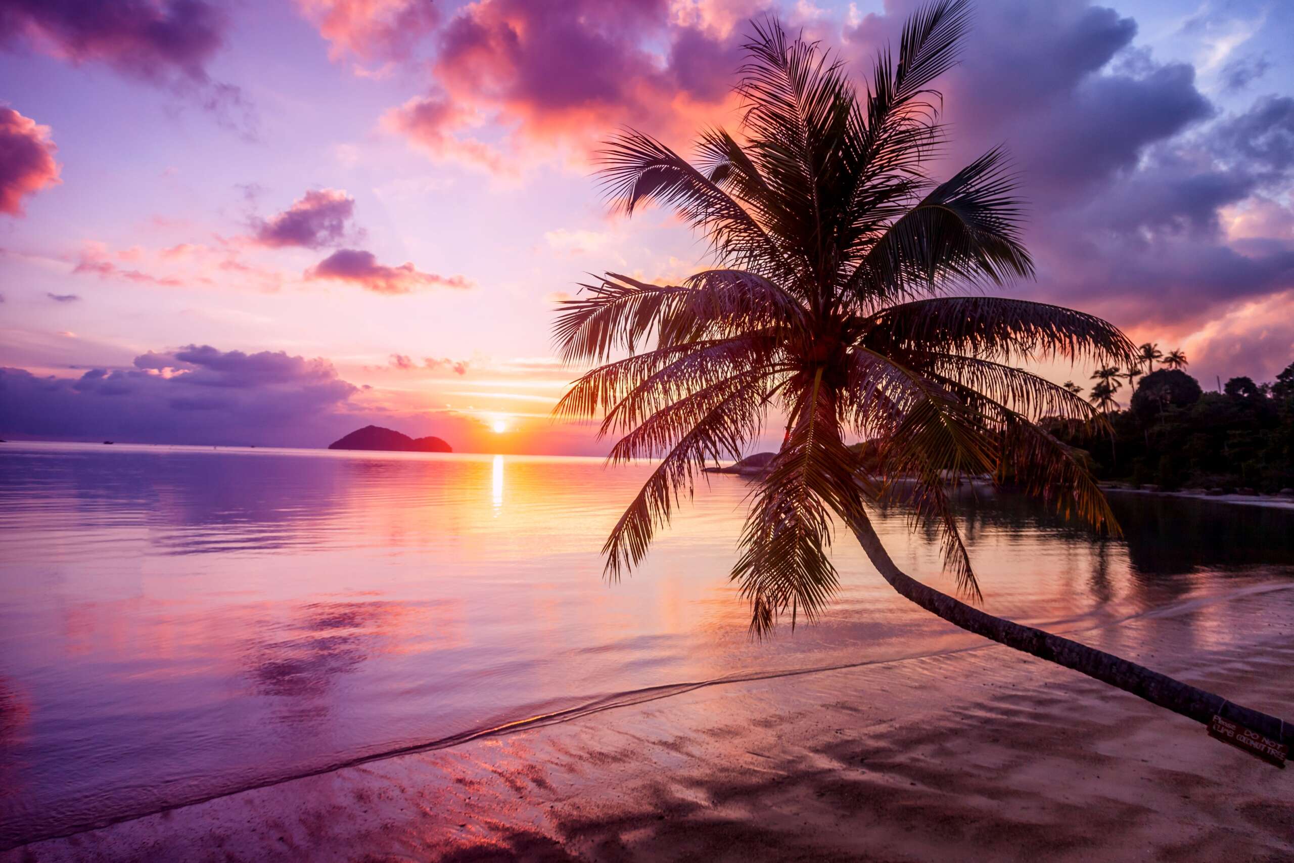 Fragrance: Sunset Mirage
