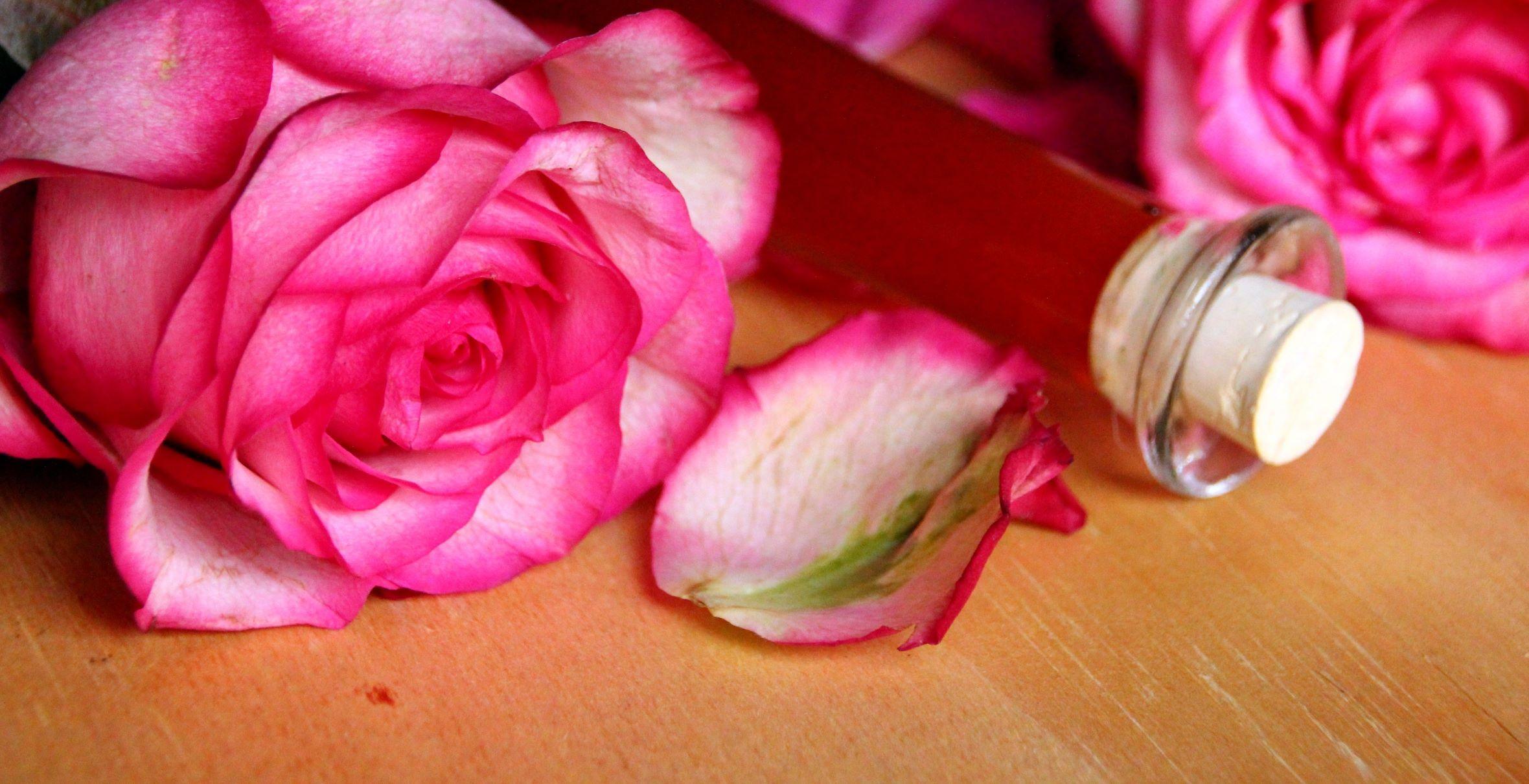 Rose Le Labo Type