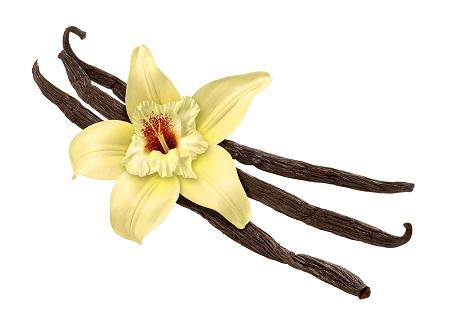 Fragrance: Vanilla