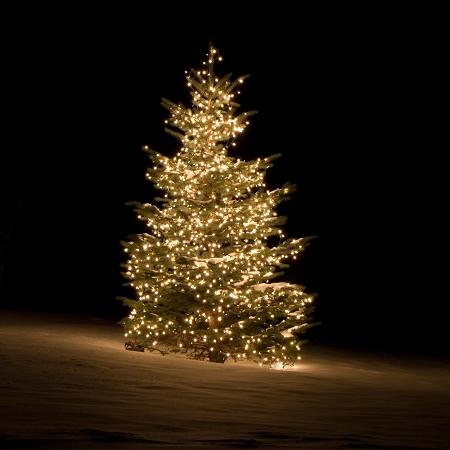 Fragrance: Victorian Christmas