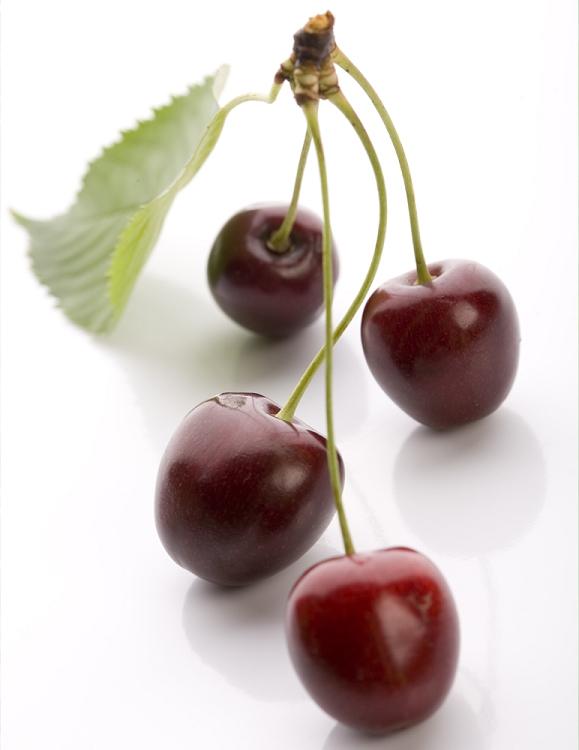 Wild Cherry Fragrance Oil