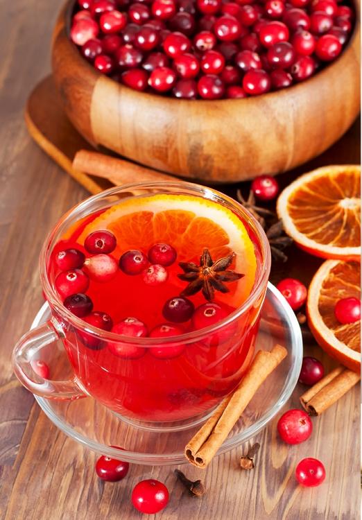 Cranberry Clove  Fragrance Oil