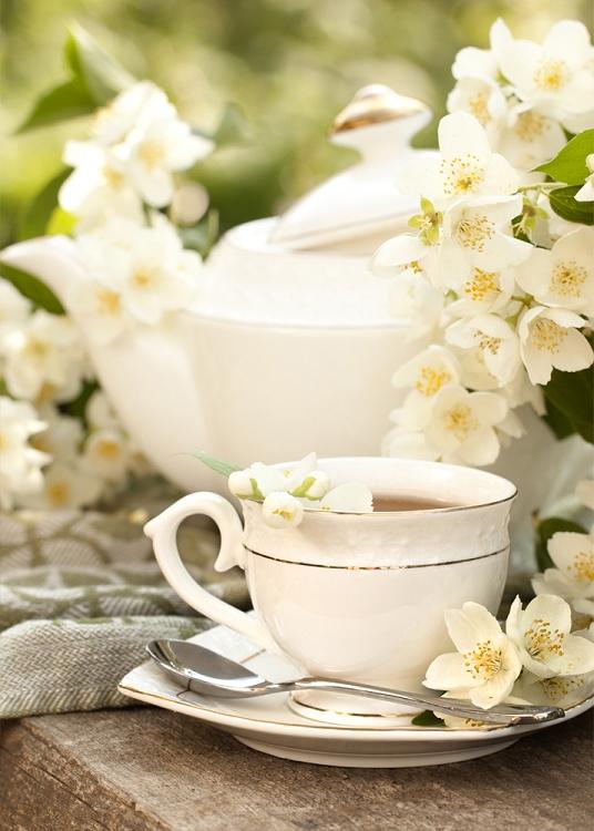 Fragrance:  Jasmine