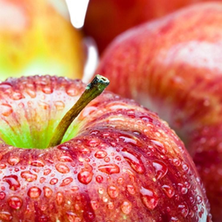 Fragrance:  McIntosh Apple