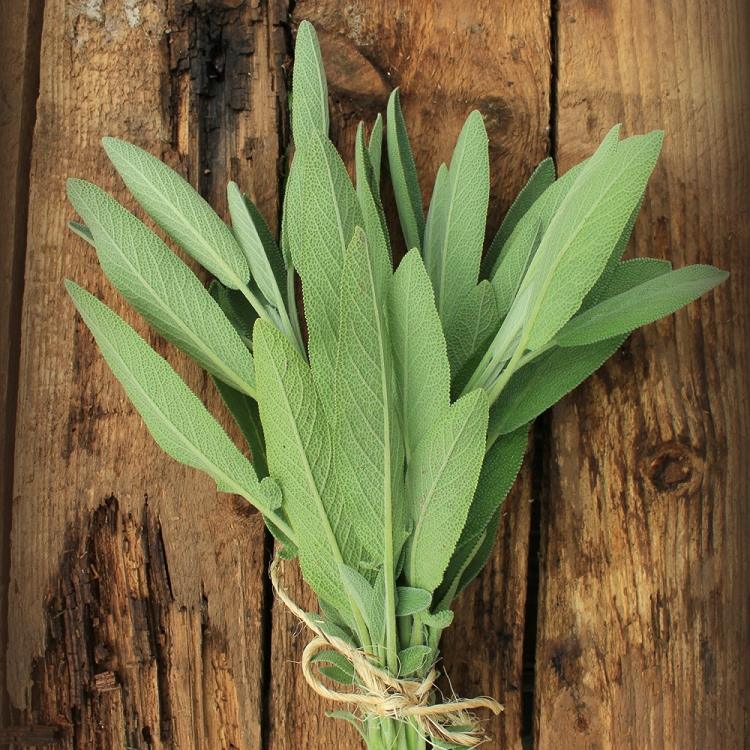 Sage Fragrance Oil